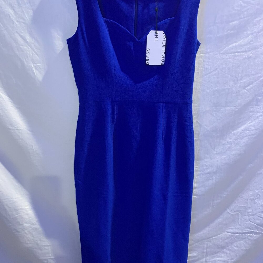 Electric Blue Fitted Dress